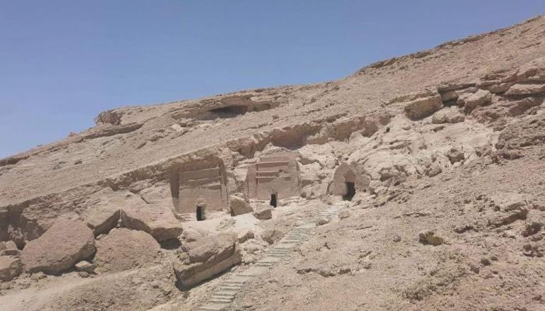 عمرها 80 مليون سنة.. اكتشاف أحافير كائنات منقرضة في السعودية